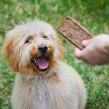 Balanced Life Companion Treats Lamb For Dogs 140G