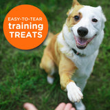 Balanced Life Companion Treat Salmon For Dogs 140G