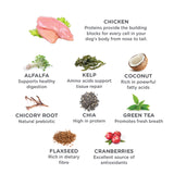 Balanced Life Enhanced Raw Air Dried Chicken & Kibble - 2.5kg & 9kg