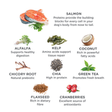 Balanced Life Enhanced Raw Air Dried Salmon & Kibble - 2.5kg & 9kg