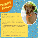 No-Pull Dog Harness with Handle, Padded Vest and Adjustable Straps