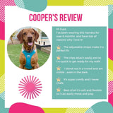 Easy Fit Dog Harness with Adjustable Sizing and Reflective Straps