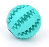 Chewy Ball and Treat Dispenser