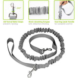 Benepaw Reflective Handsfree Running/Walking Belt and Bungee Leash