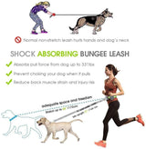 Benepaw Reflective Handsfree Running/Walking Belt and Bungee Leash