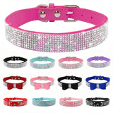 Bling Rhinestone Kitten or Cat Collar or Small Pet