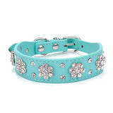Bling Rhinestone Kitten or Cat Collar or Small Pet