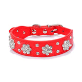 Bling Rhinestone Kitten or Cat Collar or Small Pet