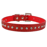 Bling Rhinestone Kitten or Cat Collar or Small Pet