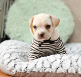 Benepaw Plush Soft Bed Mat For Small to Large Dogs or Cats