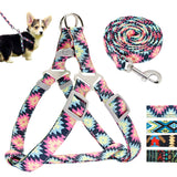 Keep it Light and Funky Dog Harness and Leash Set