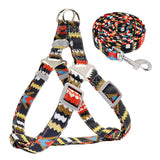 Keep it Light and Funky Dog Harness and Leash Set