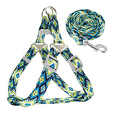 Keep it Light and Funky Dog Harness and Leash Set