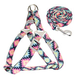 Keep it Light and Funky Dog Harness and Leash Set