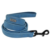 Personalized Pet Dog Collar & Leash Combo