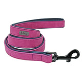 Personalized Pet Dog Collar & Leash Combo
