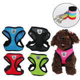 Light Weight Pet Harness and Leash Set for Puppy, Small Dog or Cat