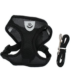 Light Weight Pet Harness and Leash Set for Puppy, Small Dog or Cat
