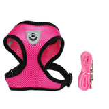 Light Weight Pet Harness and Leash Set for Puppy, Small Dog or Cat
