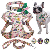 Absolutely Fabulous Harness Leash And Collar Set