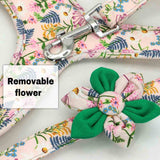 Absolutely Fabulous Harness Leash And Collar Set