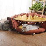Foldable Cat Tunnel and Cat Bed