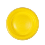 Fly Frisbee