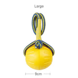 Fly Swing Ball