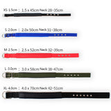 Adjustable Nylon Dog Collar
