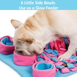 Benepaw Premium Dog Puzzle Mat with Slow Feeding Bowls