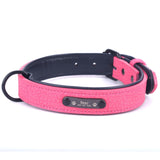 Personalized Pet Dog Collar