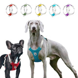 Easy Fit Dog Harness with Adjustable Sizing and Reflective Straps