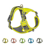 No-Pull Dog Harness with Handle, Padded Vest and Adjustable Straps