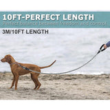 Benepaw Heavy Duty Reflective Dog Leash With Padded Handle