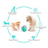 Interactive Tap and Tumble Treat Toy & Slow Feeder