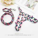 Keep it Light and Funky Dog Harness and Leash Set