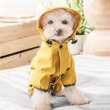 Hooded Raincoat