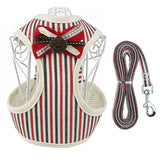 Step Out In Style Pet Harness and Leash Set for Puppy, Small Dog or Cat