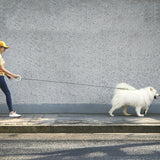 3M Retractable Dog Leash With Light