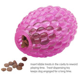 Benepaw Treat Dispensing Dog Toy For Active Chewers