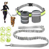 Benepaw Reflective Handsfree Running/Walking Belt and Bungee Leash