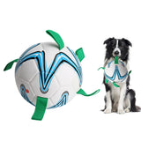 Soccer Ball with Pick-up Tags