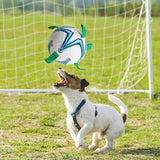 Soccer Ball with Pick-up Tags