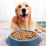 Super Slow Feeder Dog Bowl