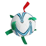 Soccer Ball with Pick-up Tags