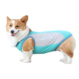 Pet Cooling Rash Vest for Summer Heat and Sun Protection