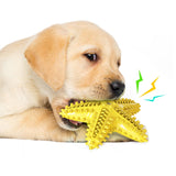 Sea Star Chew Toy for Healthy Teeth