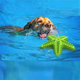 Sea Star Chew Toy for Healthy Teeth