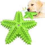 Sea Star Chew Toy for Healthy Teeth