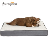 Benepaw Dog Bed with Washable Cover and High Base Memory Foam